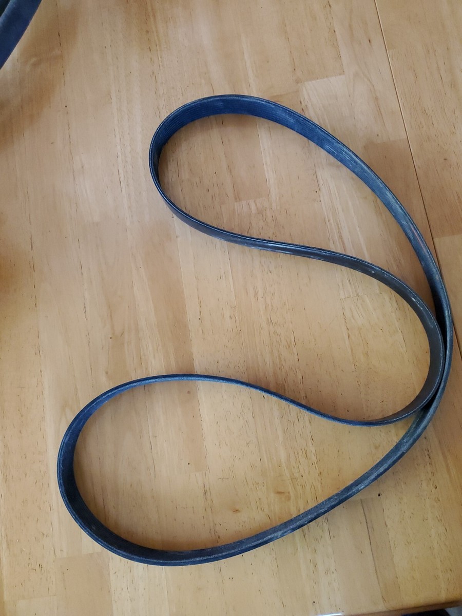 Genuine Cummins V Ribbed Belt | P/N: 3289941 | eBay