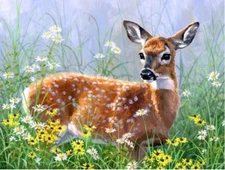 35" Fabric Panel | David Textiles Digital Spring Explorer Deer Fawn Flowers