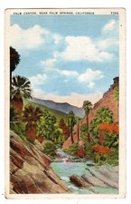 Palm Canyon Near Palm Springs California Vintage Postcard CA