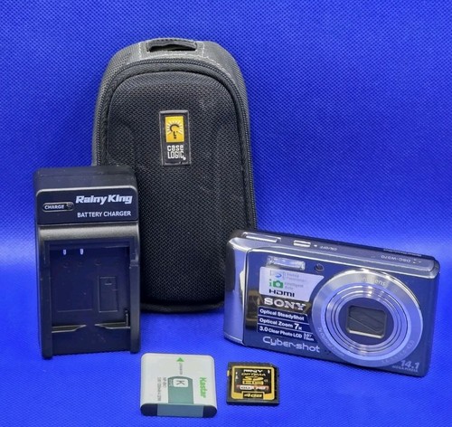 Display Flaws Please Read ~Sony Cyber-shot DSC-W370 14.1MP Digital Camera
