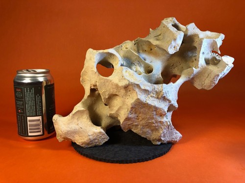 Texas/Tennessee Holey Rock, Aquarium, Fish Decorations, Honeycomb Limestone