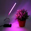 thumbnail 2  - LED Grow Light Full Spectrum Indoor Hydroponic Veg Flower Plants Lamp USB Bloom