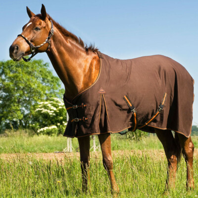 EQUI-THEME Luxus Baumwolldecke Transportdecke