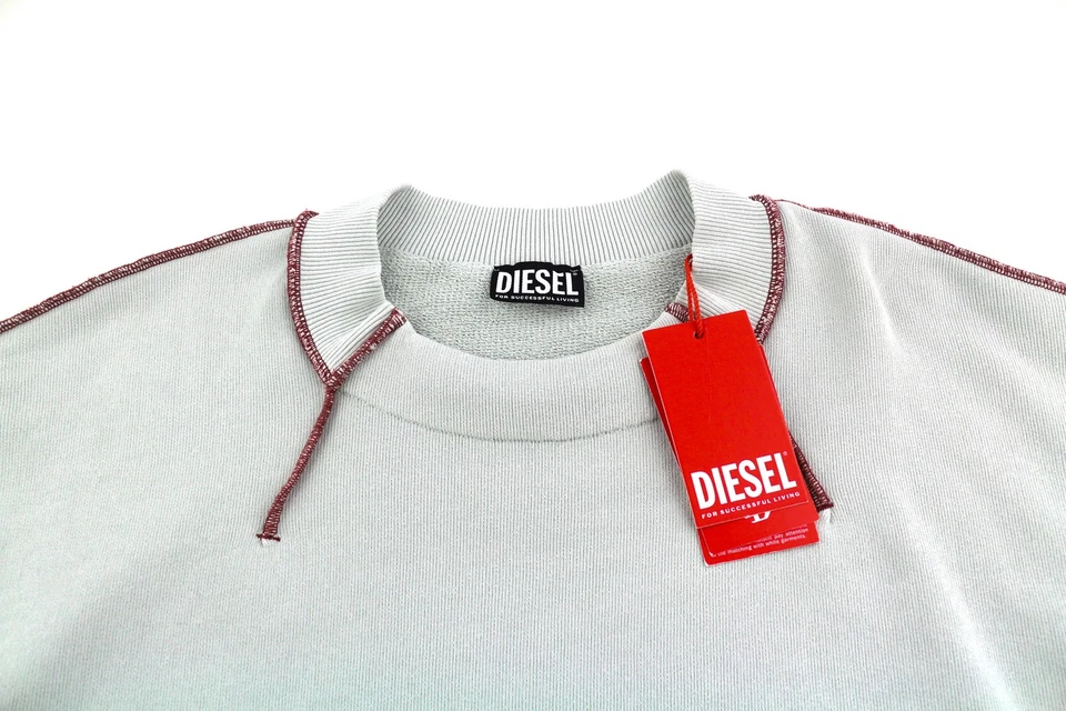 Sweat À Capuche Oversize Pour Hommes Diesel S-Molock Gris Clair L RRP€195 - Photo 4/4