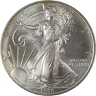 1996 American Silver Eagle Uncirculated Bullion Toned SKU:I24261