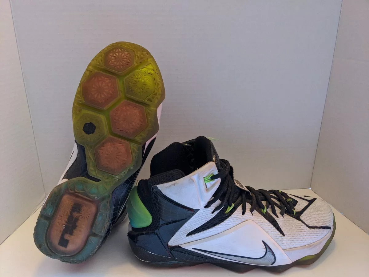 Lebron 12 top all stars