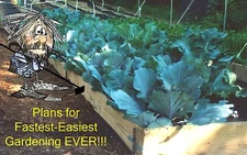Garden Plans - Raised Bed for Vegetables and Fruits