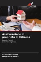 Assicurazione Di Proprietà Di Citizens Questioni Attuali E Modi Per Migliorare