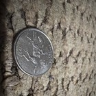 2021-D Tuskegee Airmen State Quarter 25C Denver Mint Business Strike Copper — photo 2