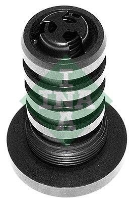 Schaeffler INA 427 0005 10 Zentralventil, Nockenwellenverstellung FüR Audi VW-image
