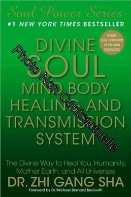 Divine Soul Mind Body Healing And Transmission System: The Divine Way To
