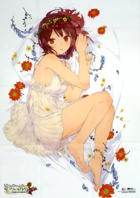 Imagin Koei Tecmo Atelier Sophie Cloth Poster Anime PS4 PS3 PS Vita Gift