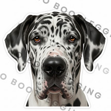 Black and White Great Dane Dog Portrait Waterproof Vinyl Sticker Laptop