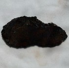 UTAH DINOSAUR BONE ~32 grams/ rough agate jasper cab fossil — photo 3