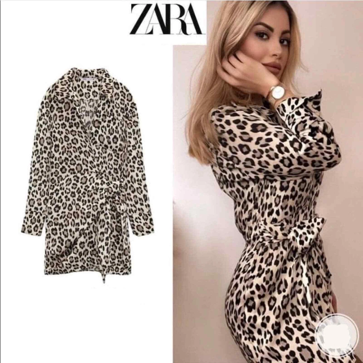 zara cheetah