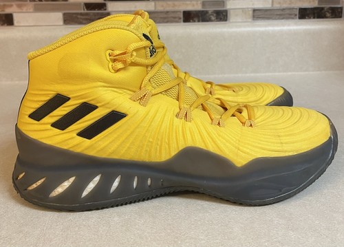 adidas crazy explosive size 9