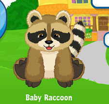 Webkinz Baby Raccoon Virtual Adoption Code Only Messaged Webkinz Cute Raccoon