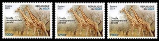 NIGER 2023 SET 3V BIODIVERSITY GIRAFFE GIRAFFES GIRAFE GIRAFES MNH