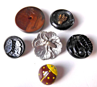 Mixed Lot of INSECT BUTTONS Beetles Butterfly Glass Veg Ivory Metal