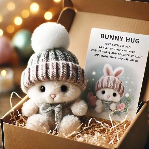 Mini Bunny Hug Easter Gift Bunny Plush Pocket Hug Rabbit with Positive-Card Hot