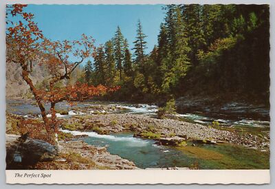 State View~Perfect Spot~Babbling Brook in Mountains in Fall~Continental Postcard