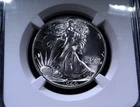 1946 Walking Liberty Half Dollar 50c - NGC MS65 - Lustrous PQ Beauty! 90% Silver