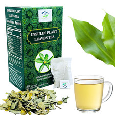 Dried Insulin Plant Leaves Tea 30 X 2G Tea Bags Natural Costus Igneus Herbal Tea
