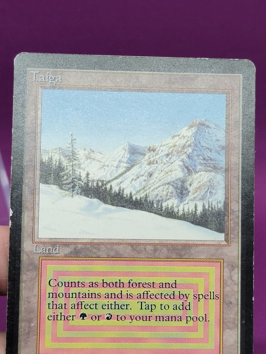 taiga mtg １枚　プレイド taiga mtg 1枚プレイド