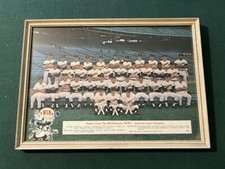 1965 HAMMS Minnesota Twins Baseball American League Champions Team Poster Framed