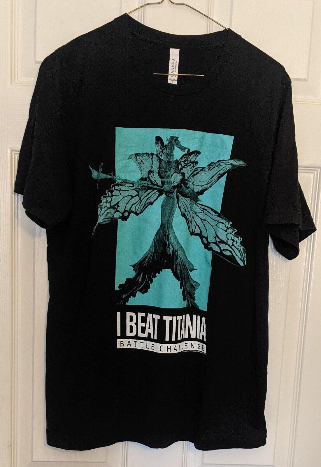 “I Beat Titania” Final Fantasy 14 XIV Battle Chal… - image 2