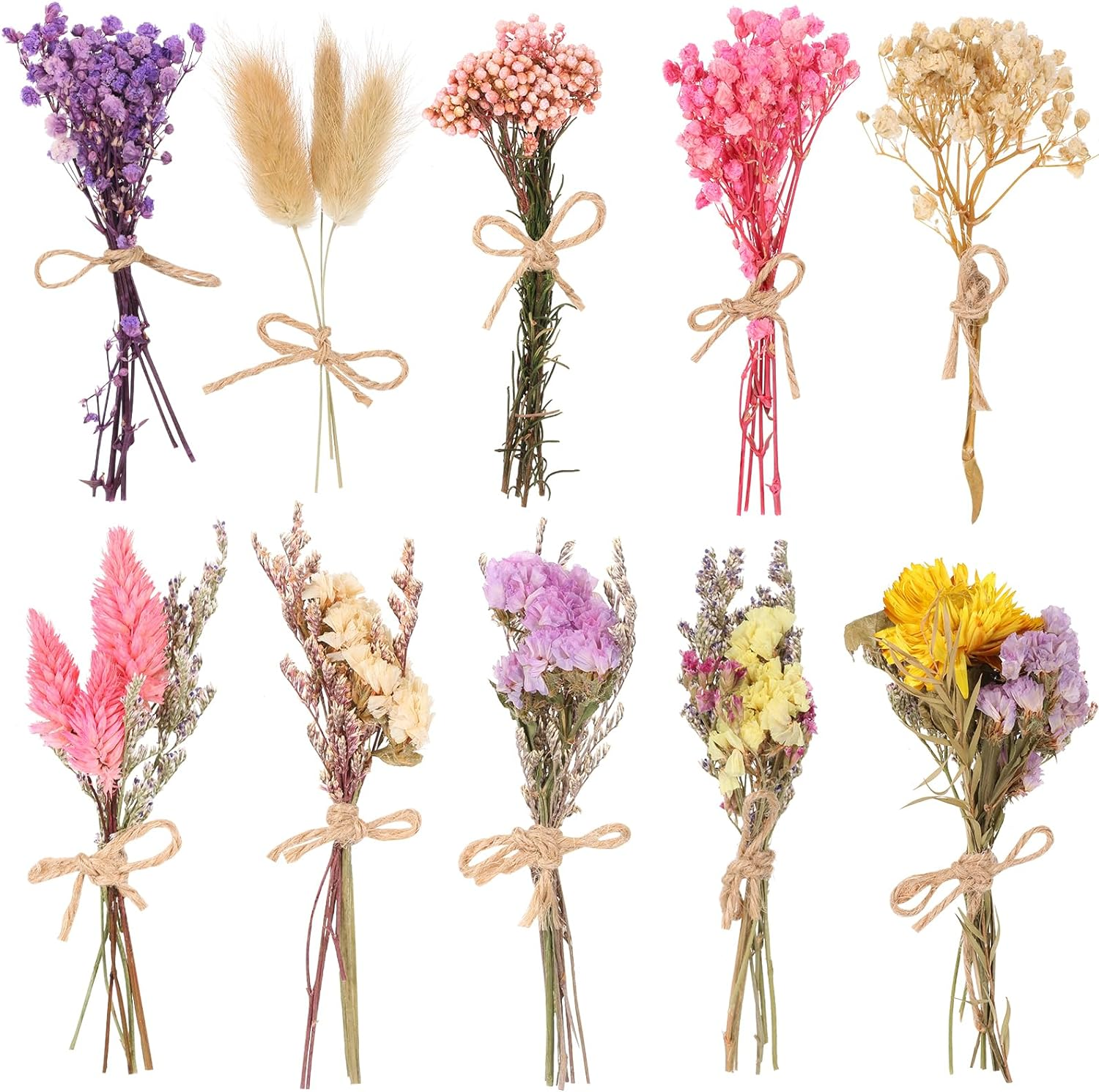 10 Pack Dried Flower Bouquets Various Dried Flower Combinations with Stem Dried