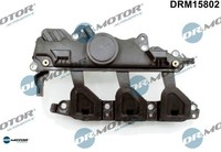 Dr.Motor Automotive DRM15802 Saugrohrmodul FüR Nissan FüR Opel FüR Renault
