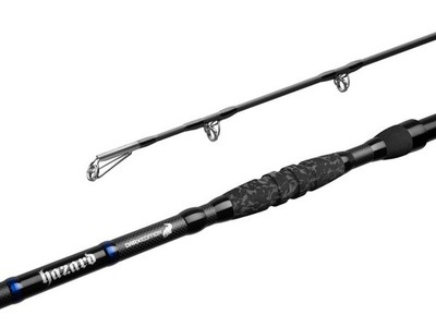 Welsrute Bootsrute 3,10 m WG-500 g Stellfischrute Delphin HAZARD Darx Cat