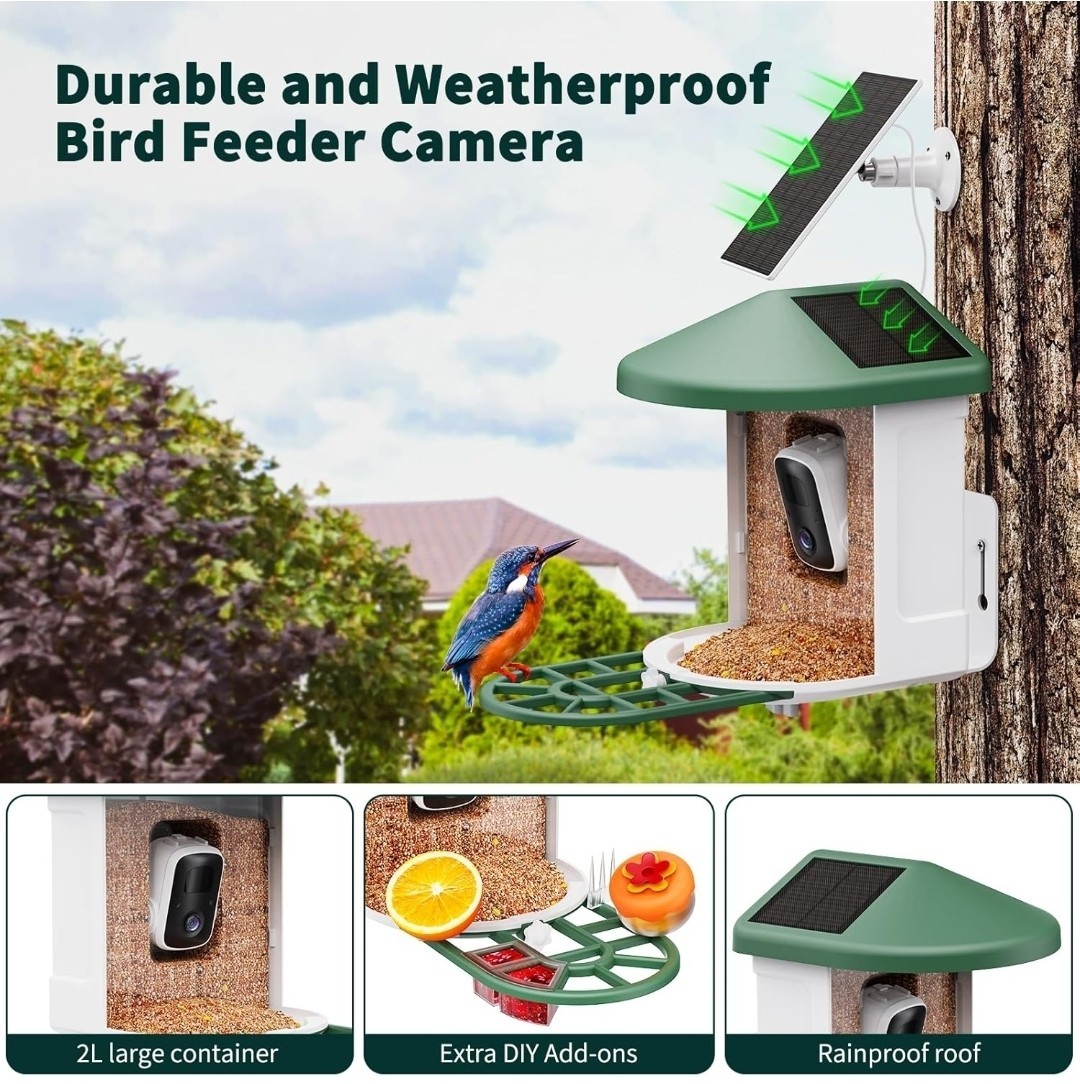 Bird Feeder with Camera Smart Bird House AI Identify Species 2k Cam Live View