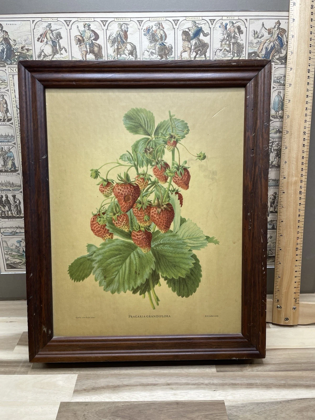 Three Mountaineers Wood Wall Spice Rack & Herb Cabinet Botanical Strawberry USA
Opens in a new windo