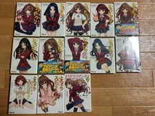 Toradora! Romanzo giapponese leggero vol.1-10 e spin-off vol.1-3 set completo da JP