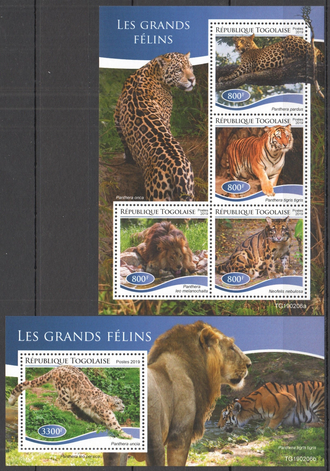 GS0081 2019 TOGO WILD BIG CATS LIONS TIGERS ANIMALS YVERT #6820-3+BL1538 MNH
