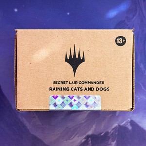 Mtg Raining Cats and Dogs | eBay