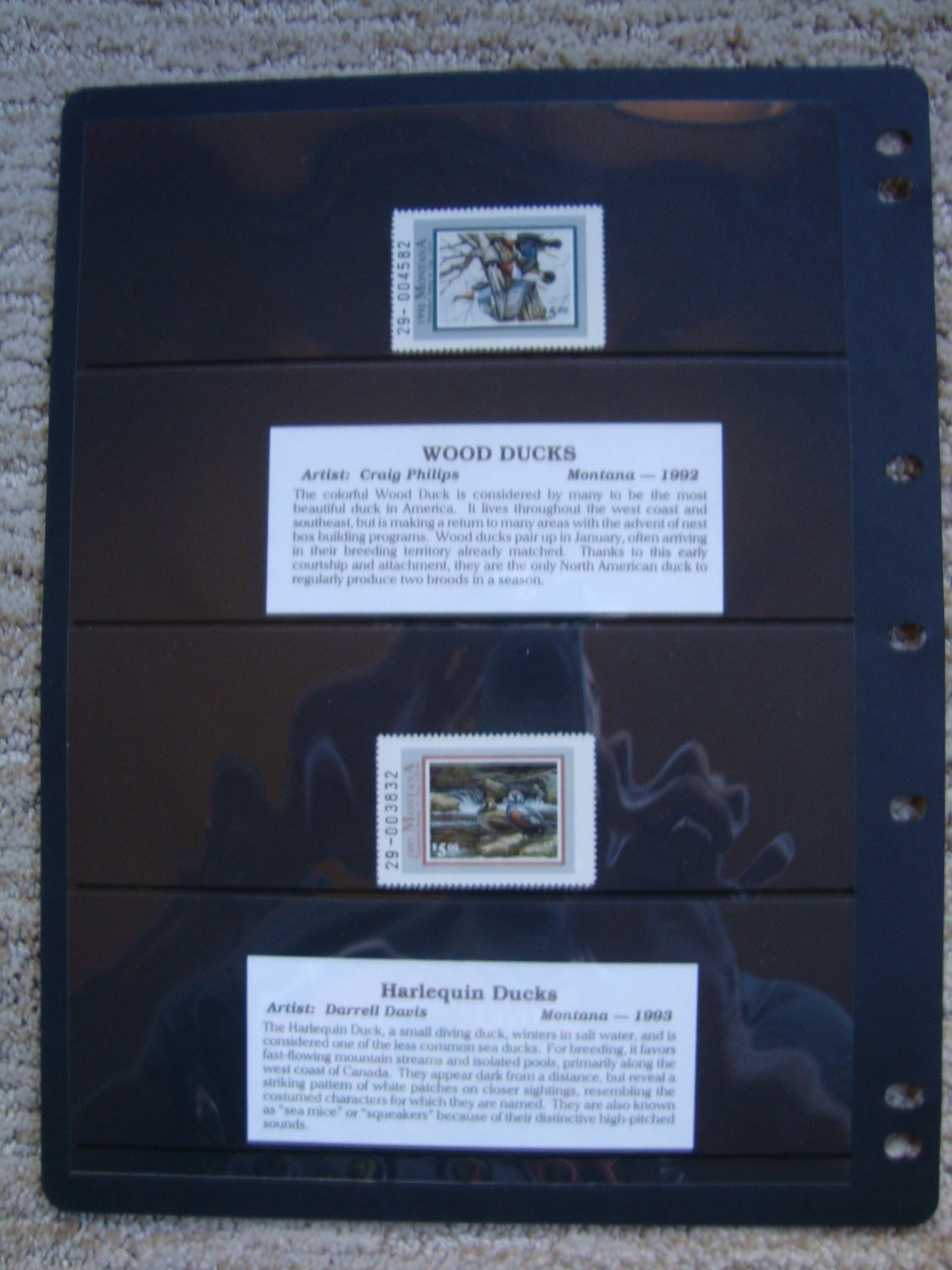 Picture 6 of 24
