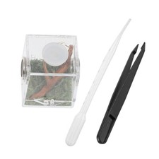 1 Set Reptile Acrylic Feeding Case Acrylic Spider Hatching Container for Home