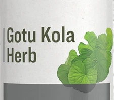 GOTU KOLA - Healthy Memory Mood Focus & Circulation Support USA