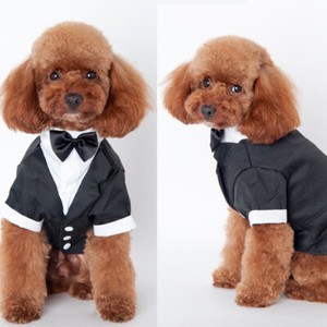 dog wedding tie