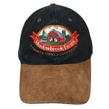 Meadowbrook Farms Slideback Baseball Cap Black One Size Vitronic Four Season