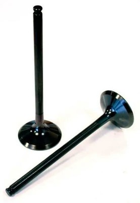 VERTEX 8400005-2 Einlassventil Titan