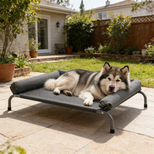 Elevated Bed Pet Raised Beds Trampoline Dog Puppy Heavy Duty Large Hammock Mesh