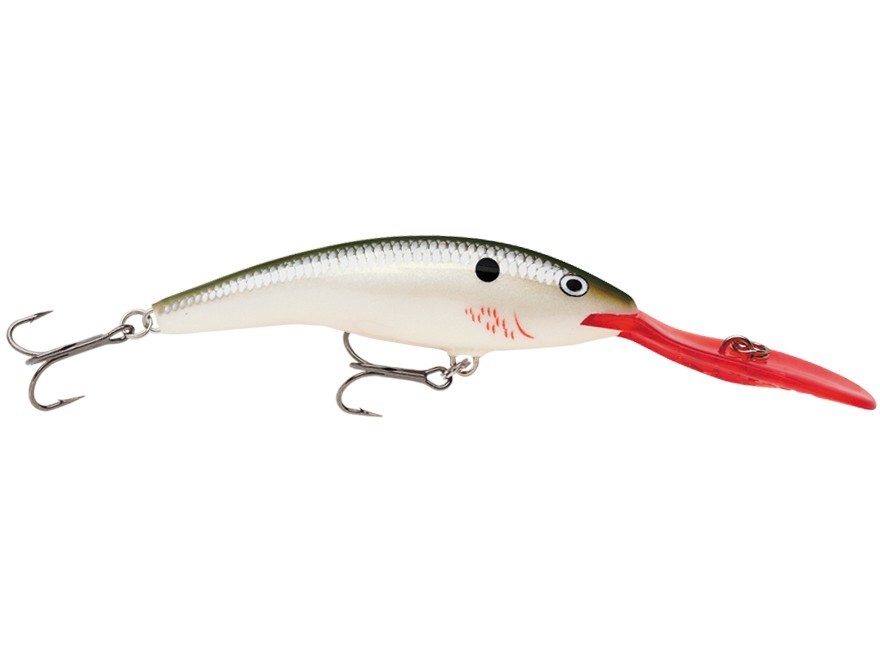 315511_8 315511_8