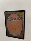 Picture 8 of 8