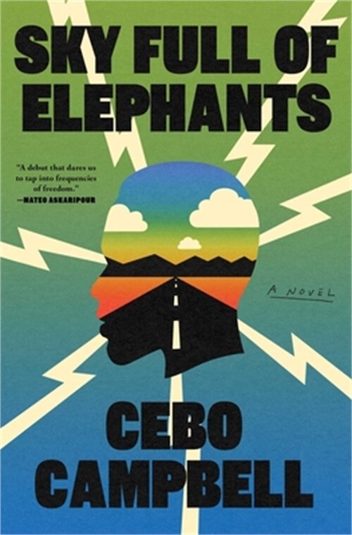 Sky Full of Elephants (Hardback or Cased Book)