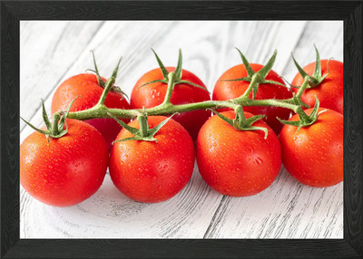Gerahmtes Wandbild Poster Leinwanddruck Bild reifer Tomatenzweig