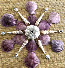 25 PIECE BEAUTIFUL MEDLEY OF PURPLE SEA SHELLS - CRAFTING